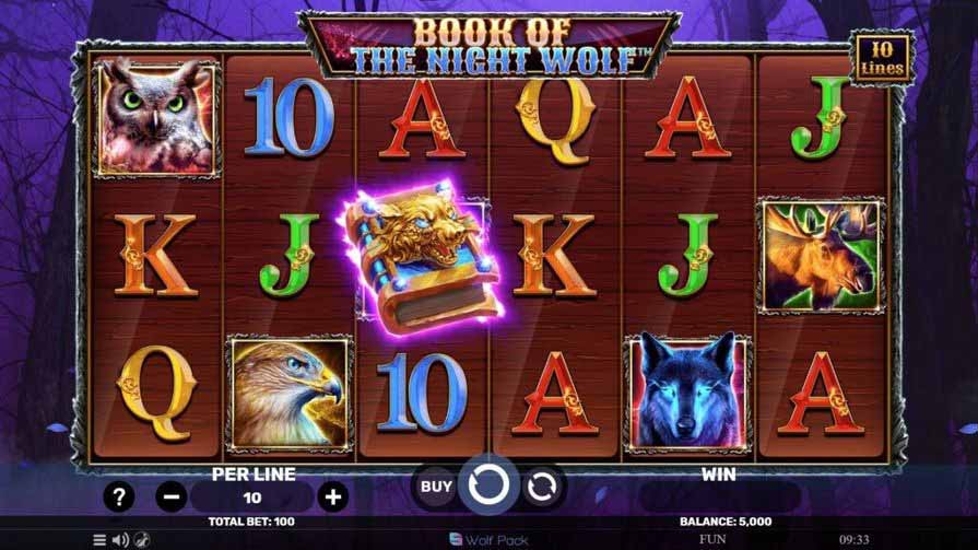 Book of the Night Wolf