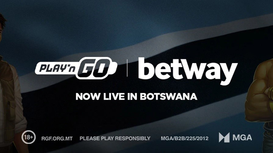 лицензии плейнго