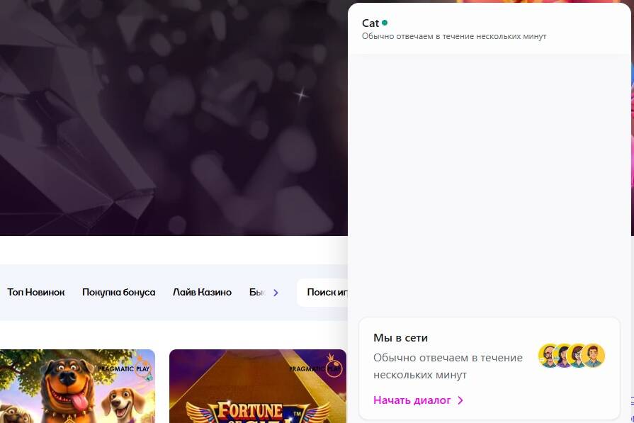 Служба поддержки Cat