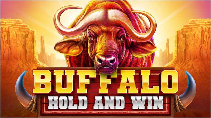 Buffalo Hold and Win