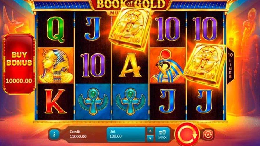 Book of Gold Multichance