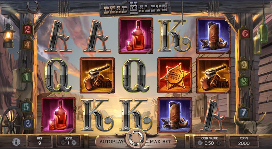 Обзор слота Dead or Alive 2