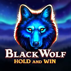 Black Wolf Hold and Win