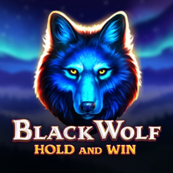 Black Wolf: Hold and Win