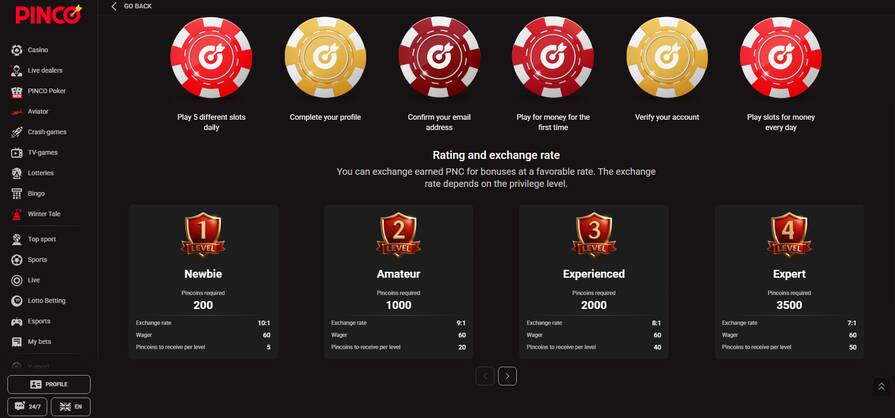 Программа в казино Pinco