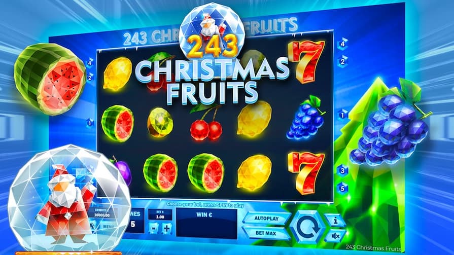 243 Christmas Fruits