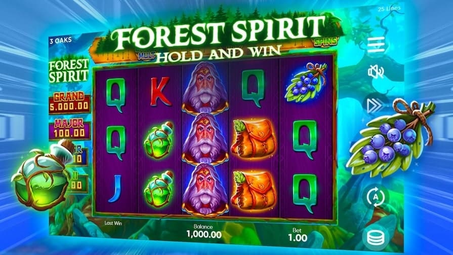 Forest Spirit Hold and Win