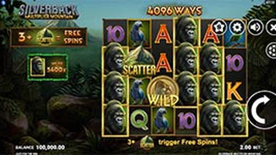 Silverback Multiplier Mountain