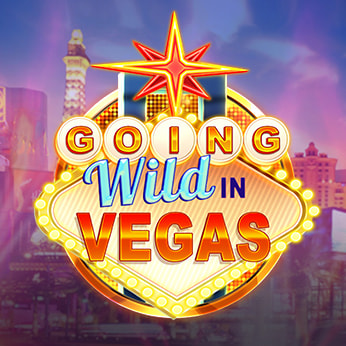 Going Wild in Vegas Wild Fight