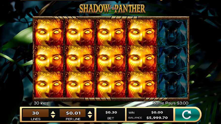 Shadow of the Panther