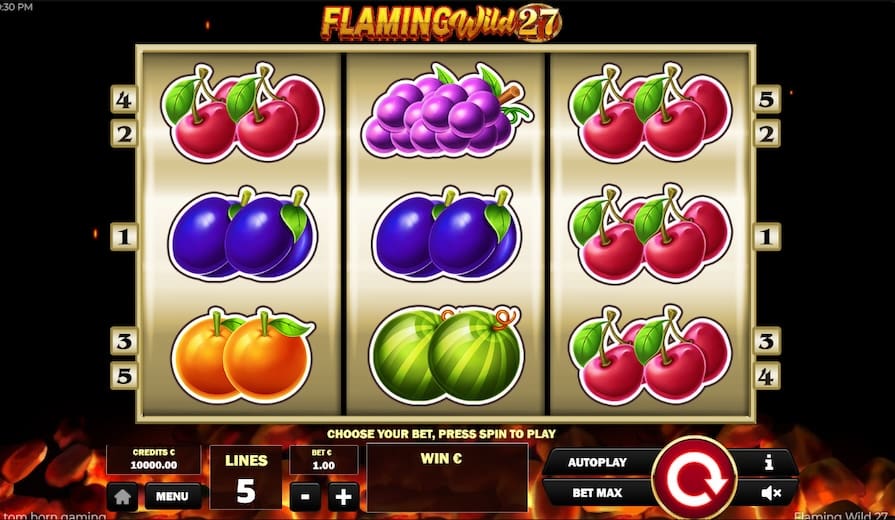 Слот Flaming Wild 27