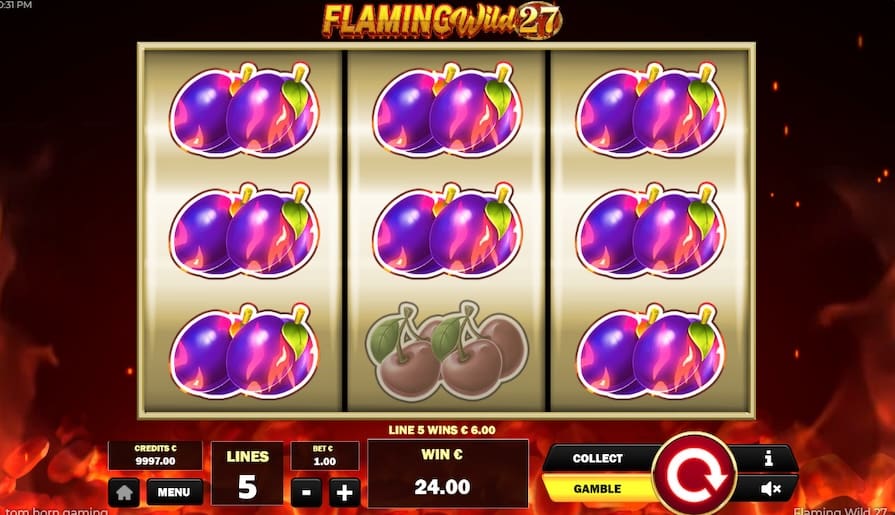 Дизайн игры Flaming Wild 27
