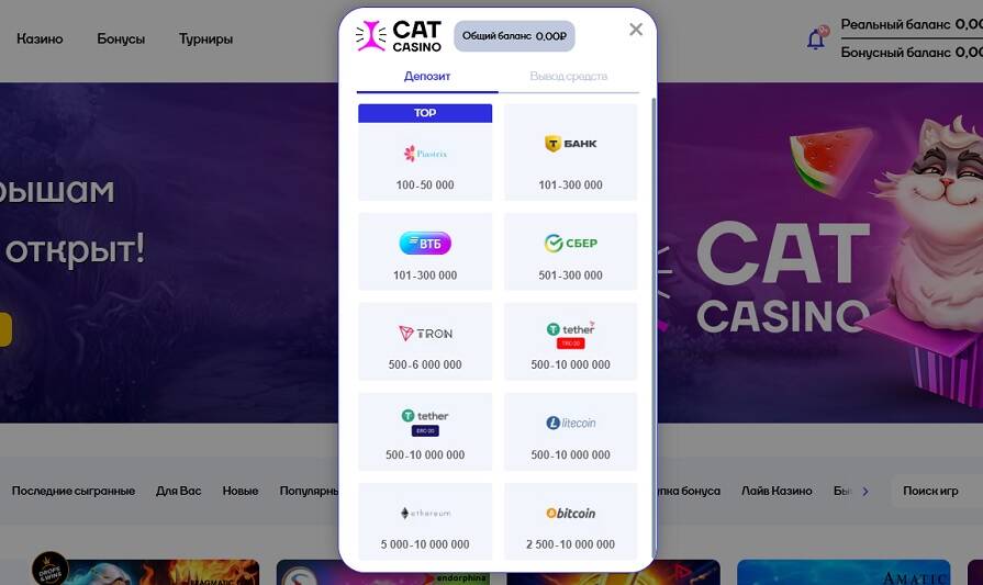 Способы пополнения счета в казино Cat