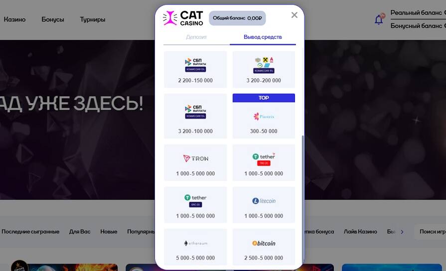 Способы вывода денег в казино Cat