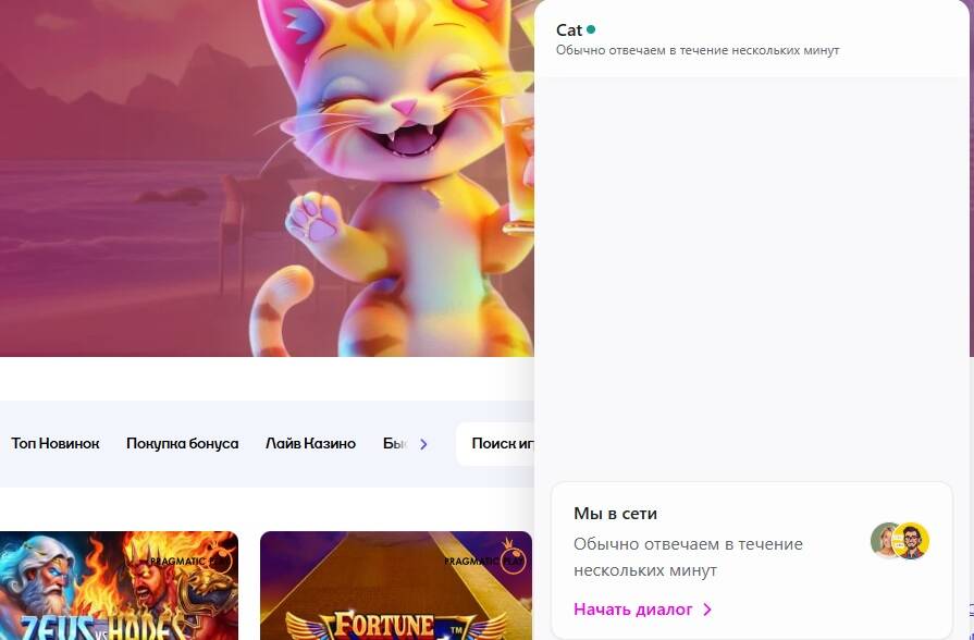 Контакты для верификации Cat