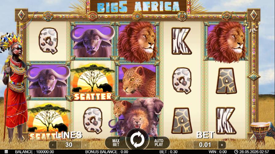 Big 5 Africa
