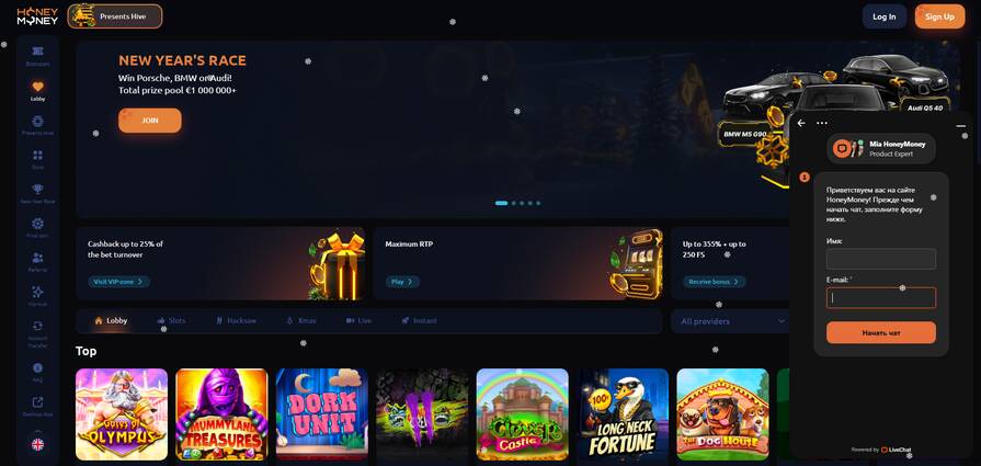 Honey Money поддержка