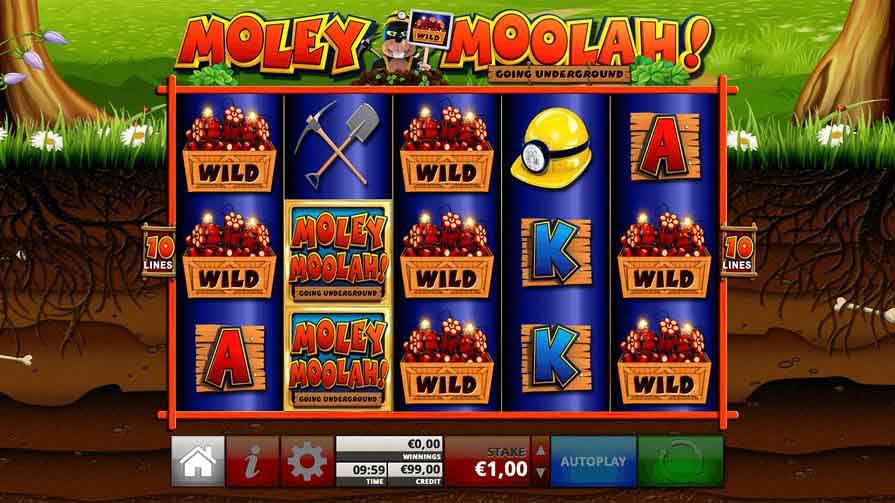 Moley Moolah