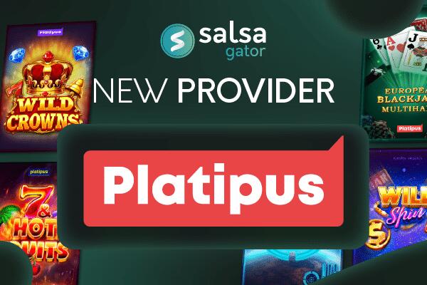 Provider Salsa Technology