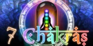 Provider Saucify 7 Chakras