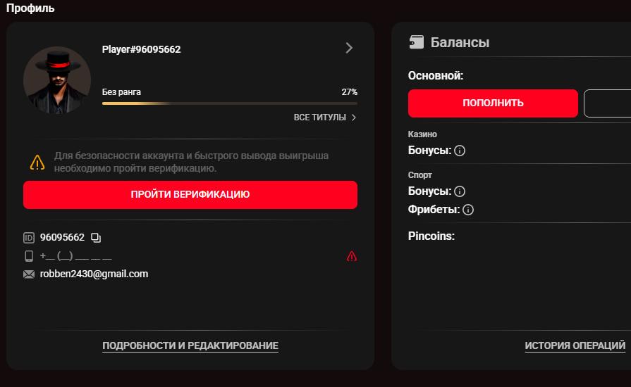 Верификация личности игрока в Пинко