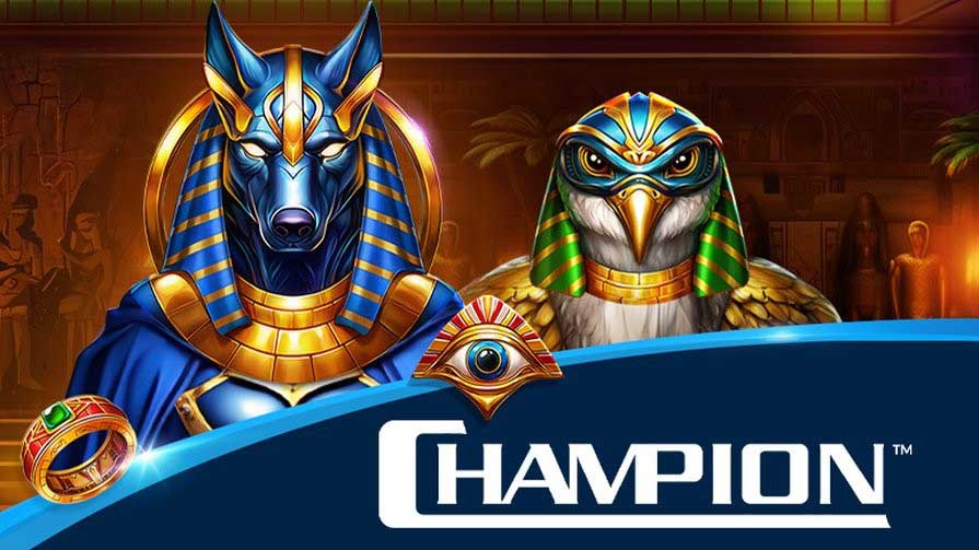 провайдер чемпион