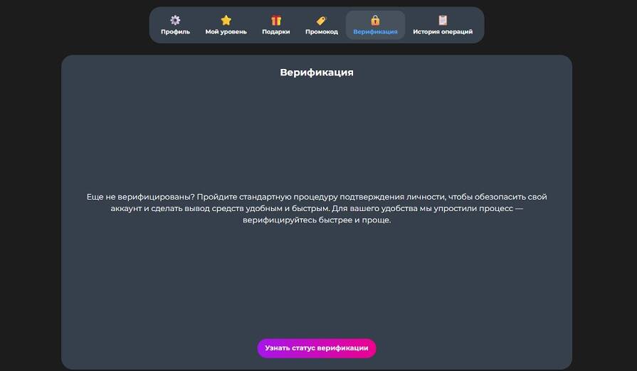 Что нужно верифицировать для вывода денег в Champion Slots