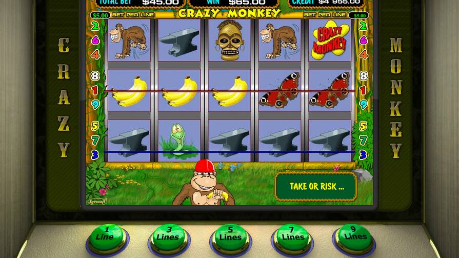 Слот Crazy Monkey