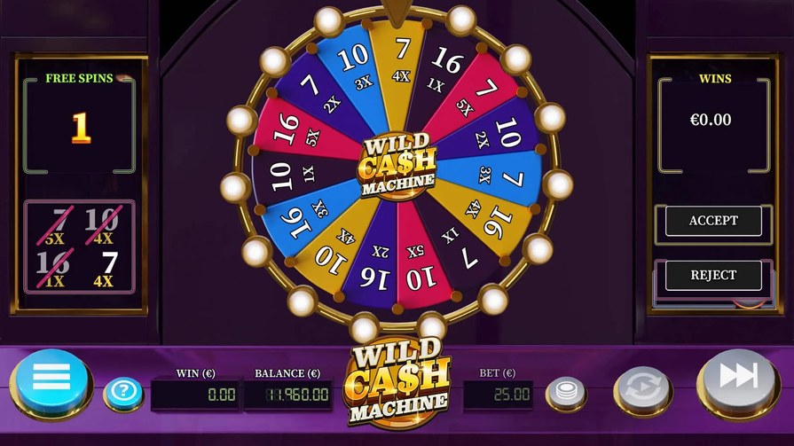 Wild Cash Machine
