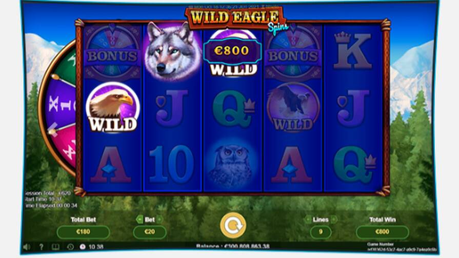 Wild Eagle