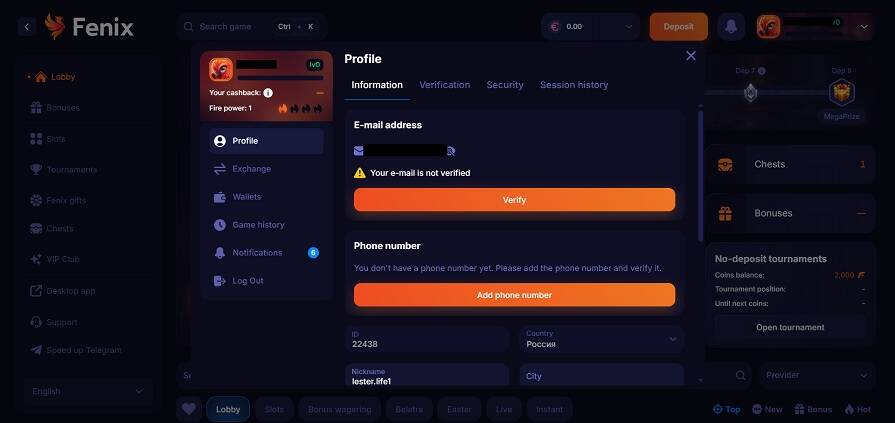 Fenix верификация