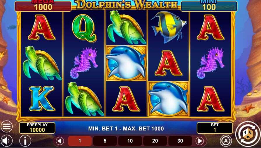 Dolphin’s Wealth