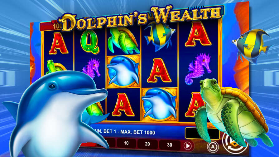 Dolphin’s Wealth
