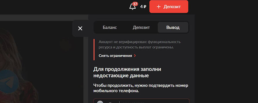 верификация для вывода в 1Go