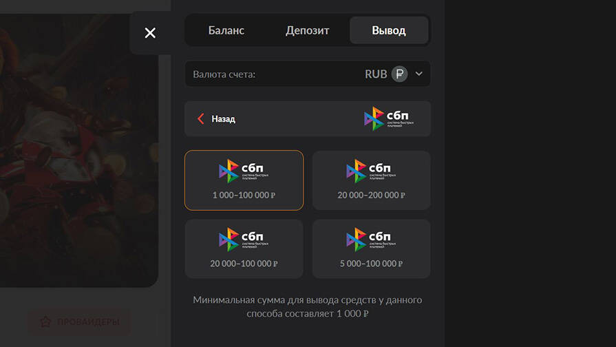 Выводы по СБП