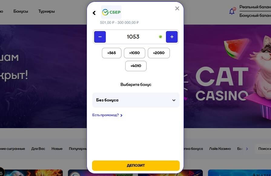 Пополнение с банковской карты в казино Cat