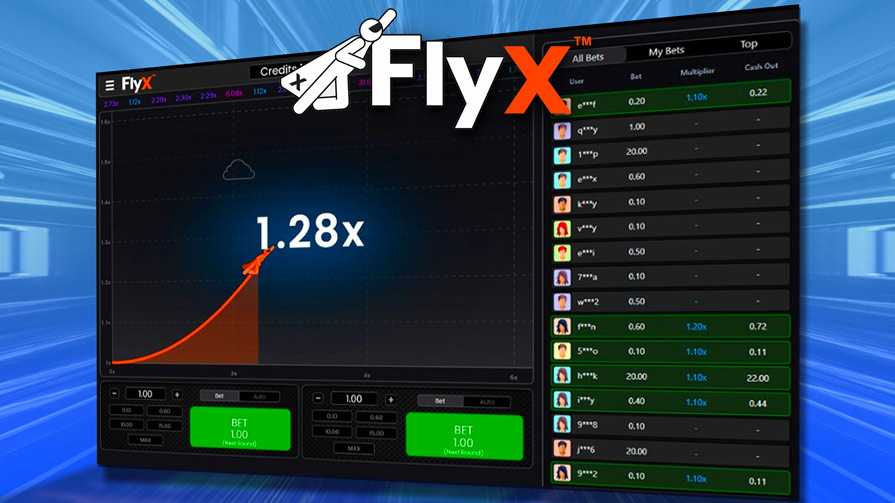 FlyX