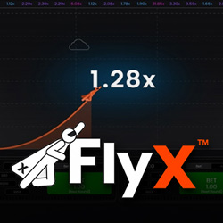FlyX