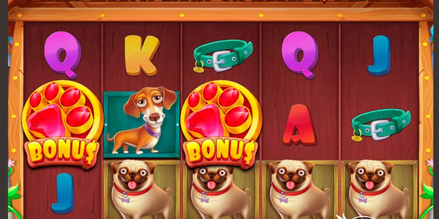 игра The Dog House