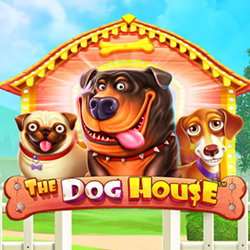 The Dog House