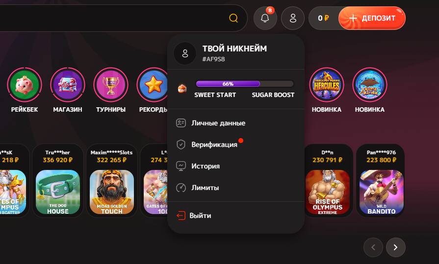 Раздел верификация в Iris