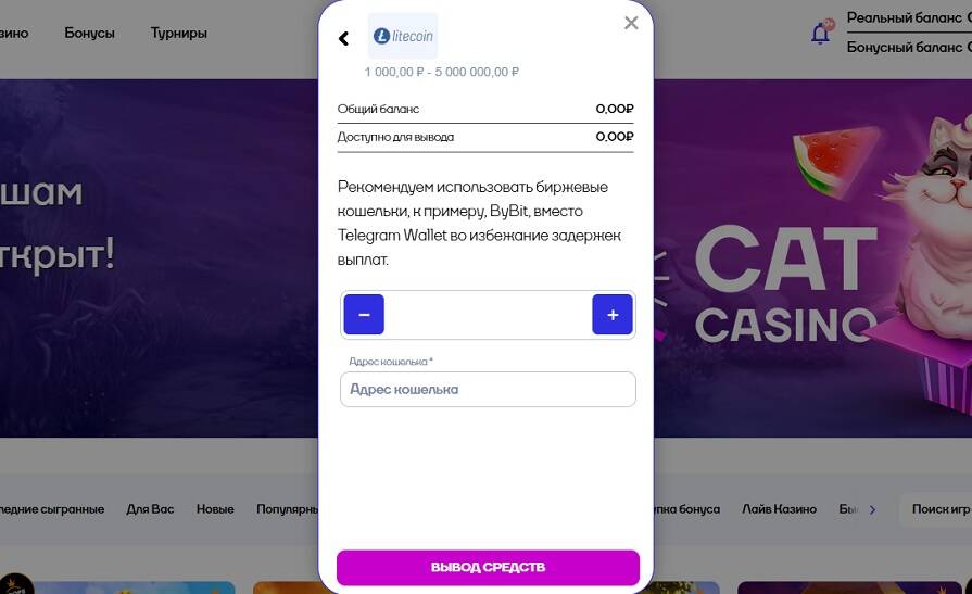 Вывод криптовалютой в Cat