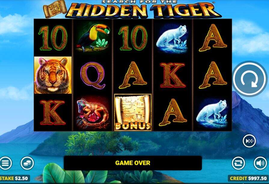 Дизайн игры Diego Wild Search for the Hidden Tiger