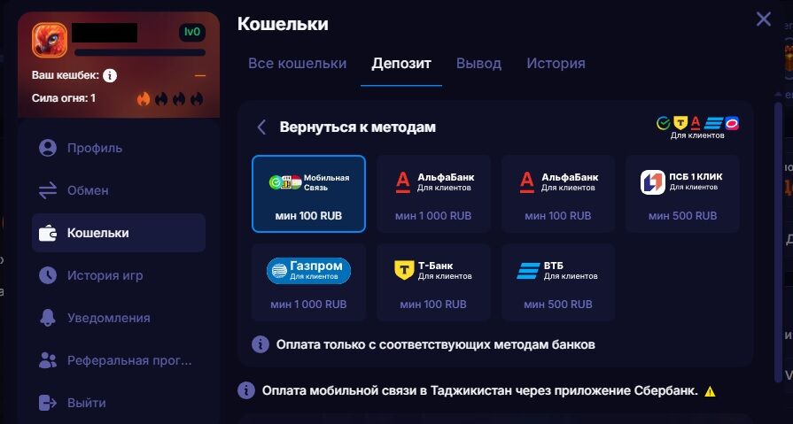 Пополнение с банковской карты в казино Fenix