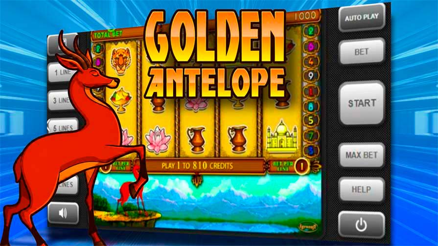 Golden Antelope