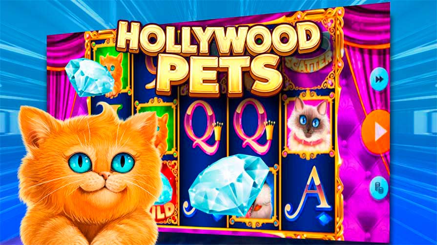 Hollywood Pets