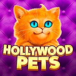 Hollywood Pets