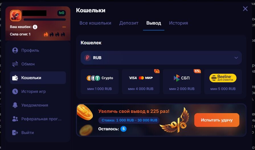 Способы вывода денег Fenix