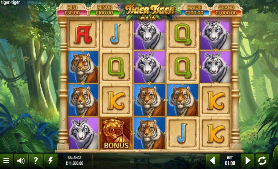 Дизайн игры Tiger Tiger