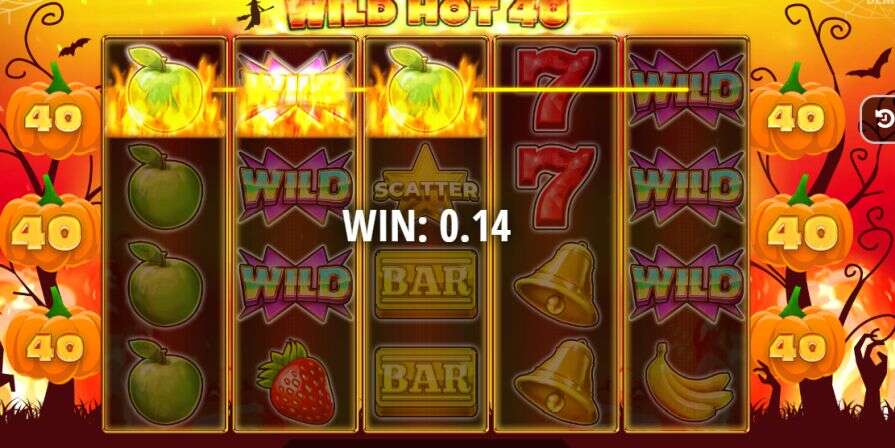 Дизайн игры Wild Hot 40